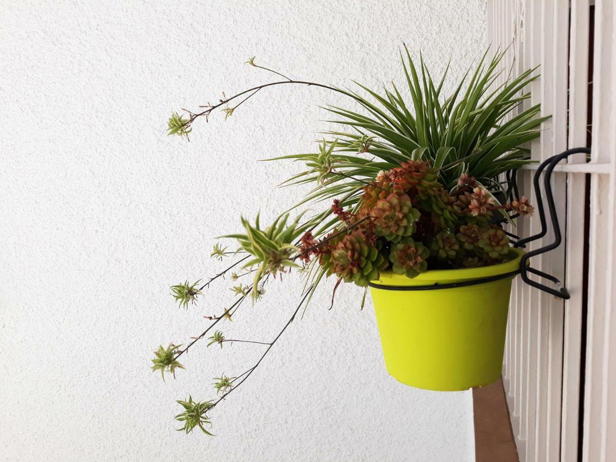 베날마데나코스타 Mi Jardin 아파트 외부 사진